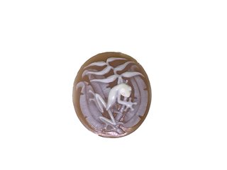 Frog on Halyconia cameo